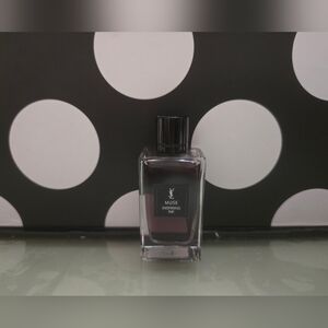 ✨️YSL Inspiring Ink MUSE Mini✨️**NO BOX**